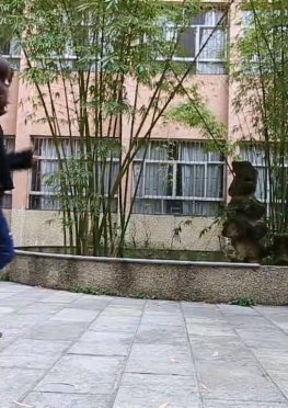 71888校园一角的牛仔裤肉丝长腿美女同学视频