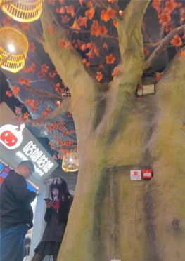 68148逛商场的jk短裙黑丝大长腿女孩视频